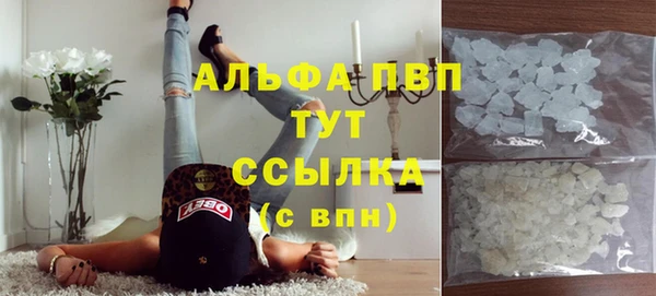 сатива Бронницы