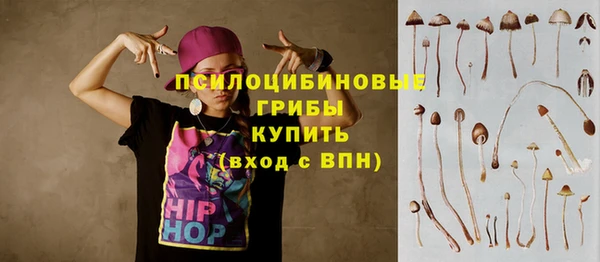 бутират Бугульма
