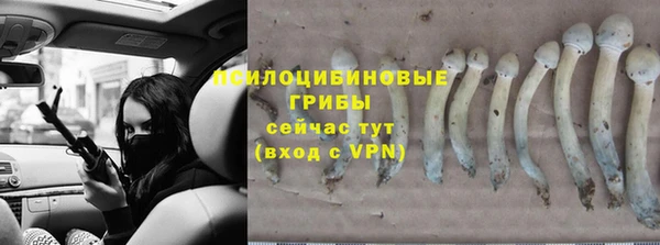 бутират Бугульма