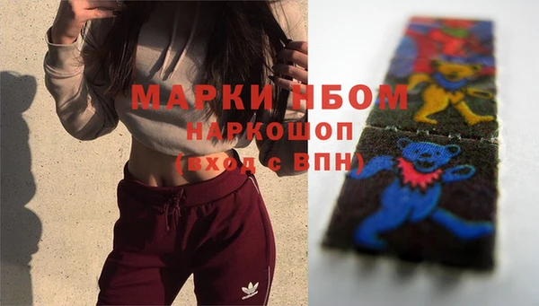 сатива Бронницы