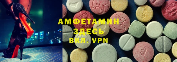 сатива Бронницы