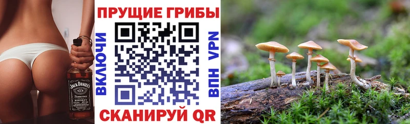 Псилоцибиновые грибы прущие грибы  что такое наркотик  мориарти какой сайт  Новосибирск 