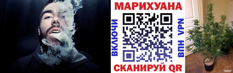 наркота  Новосибирск  Канабис план 
